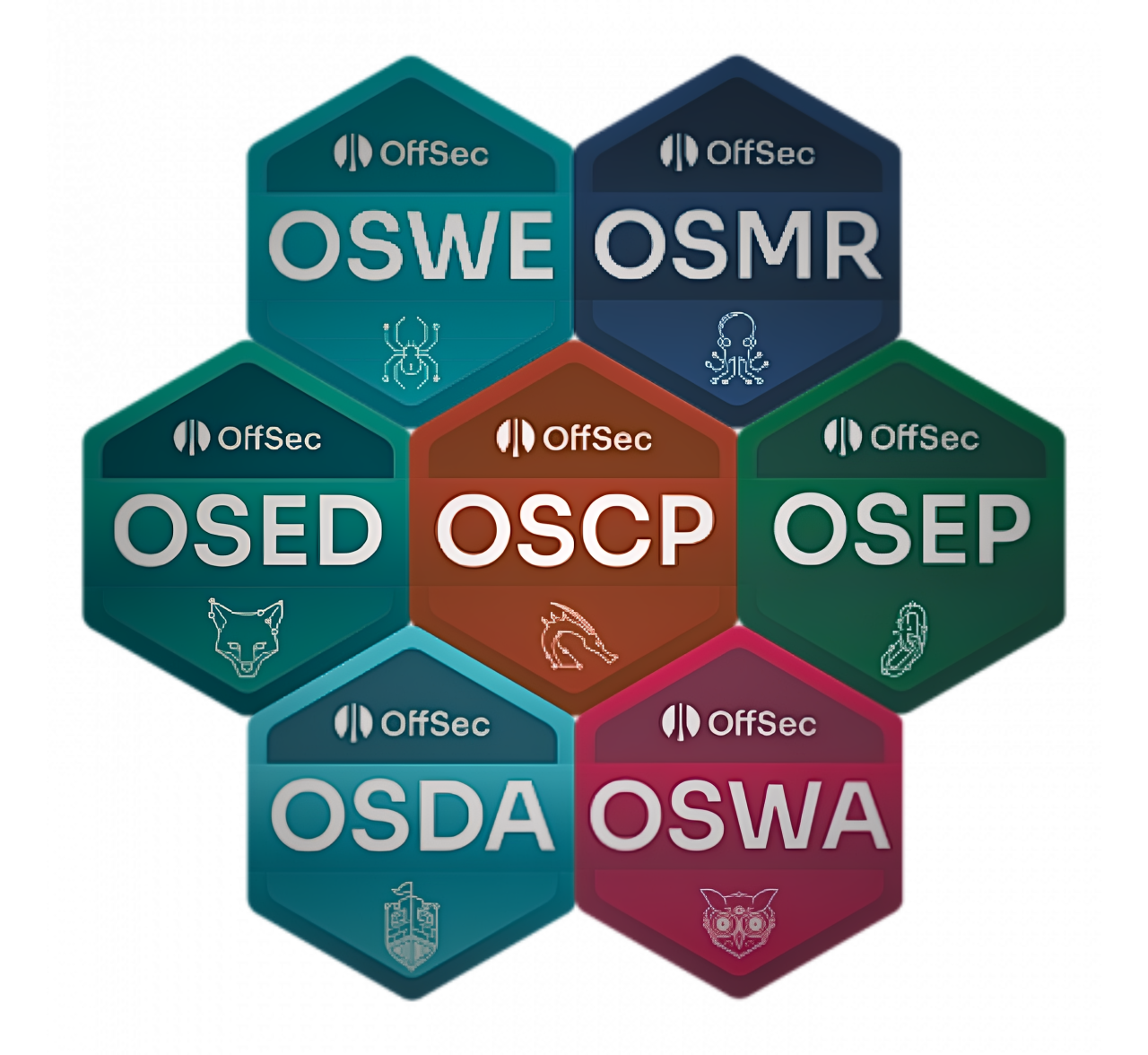 Create And Edit Motion Graphics - Altyence